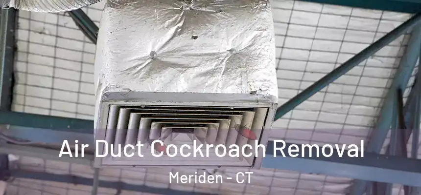  Air Duct Cockroach Removal Meriden - CT