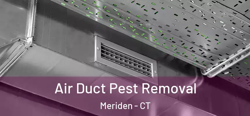  Air Duct Pest Removal Meriden - CT