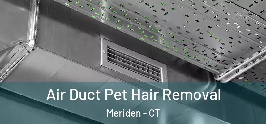 Air Duct Pet Hair Removal Meriden - CT