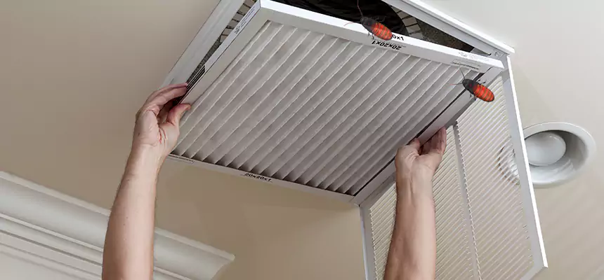 Preventive Cockroach-Proofing for Ducts in Meriden