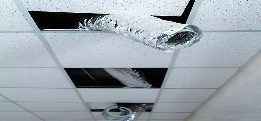 Affordable HVAC Sanitizing After Pest Removal in Meriden