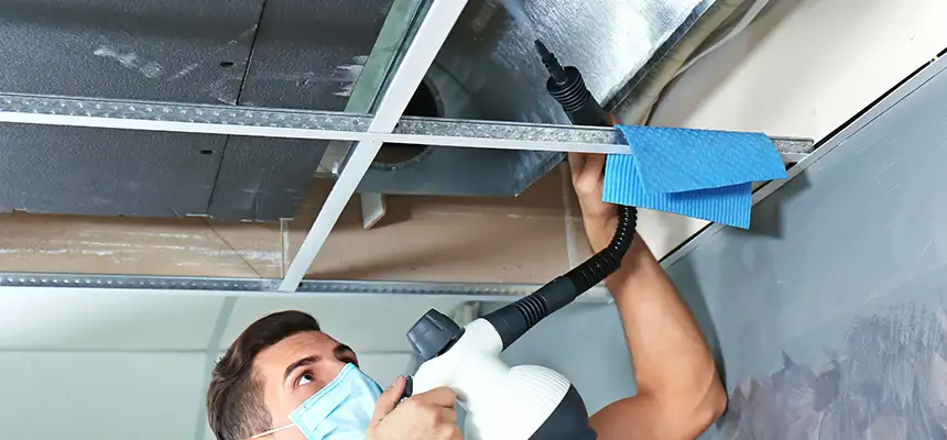 Our Air Duct Rodent Removal Services in Meriden, CT