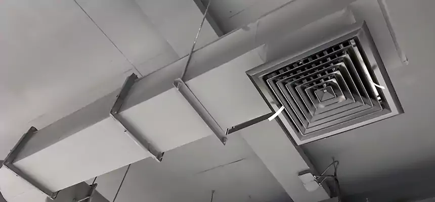 Our Pest Removal From Ducts Services in Meriden, CT