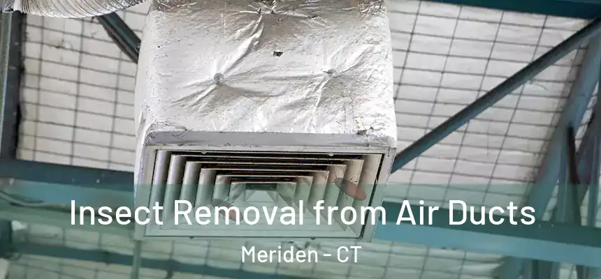  Insect Removal from Air Ducts Meriden - CT
