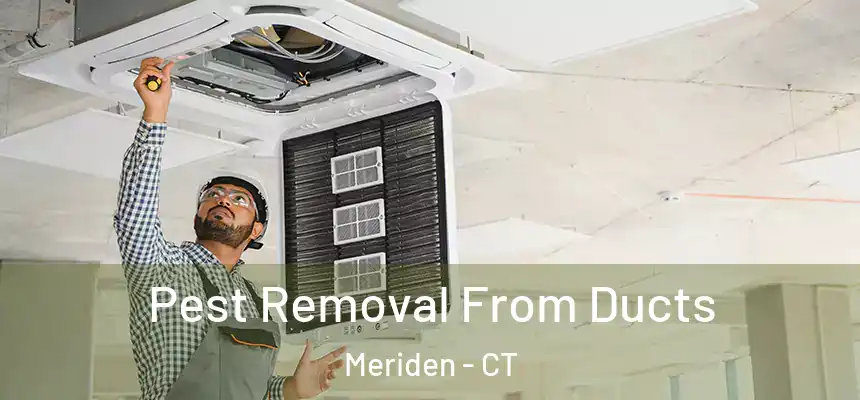 Pest Removal From Ducts Meriden - CT