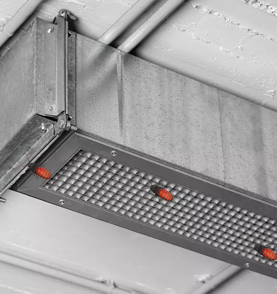 About Air Duct Cockroach Removal in Meriden, CT
