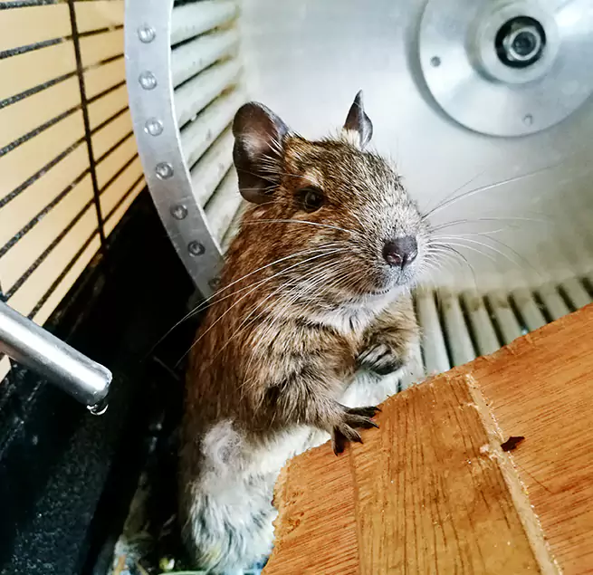 Why Homeowners & Businesses Trust Us Meriden, CT